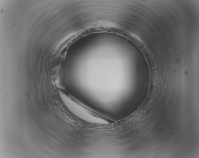 X0000053101112200508012051