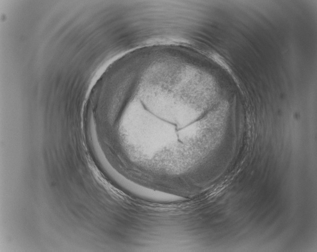 X0000053101124200508012051