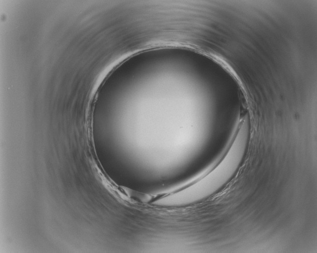 X0000053101148200508012052