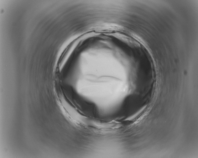 X0000053101152200508012052