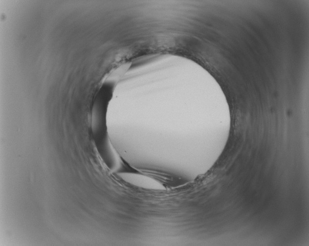 X0000053101153200508012051