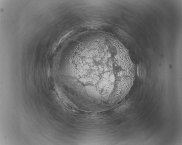 X0000053101155200508012051