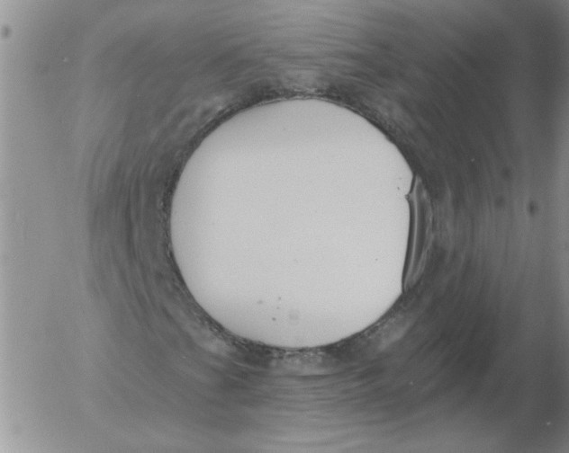 X0000053101201200508012050
