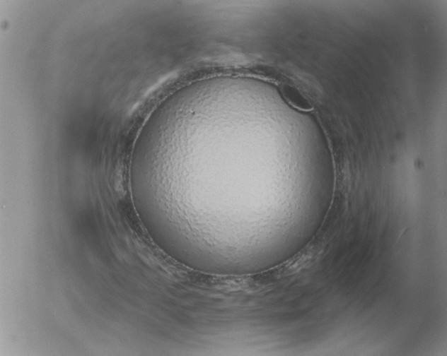 X0000053101205200508012050