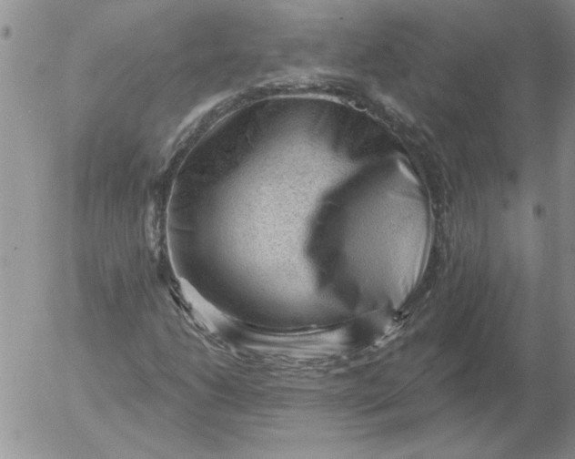 X0000053101206200508012050