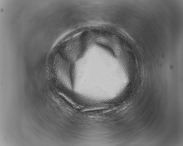 X0000053101208200508012050