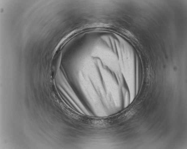 X0000053101220200508012050