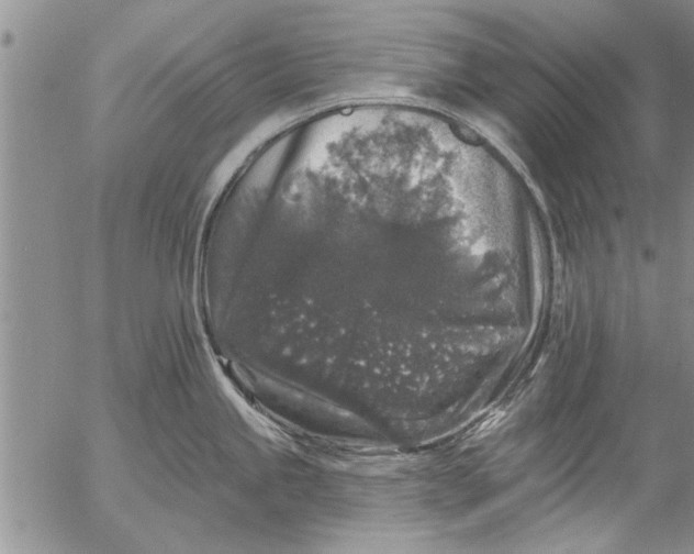 X0000053101245200508012050