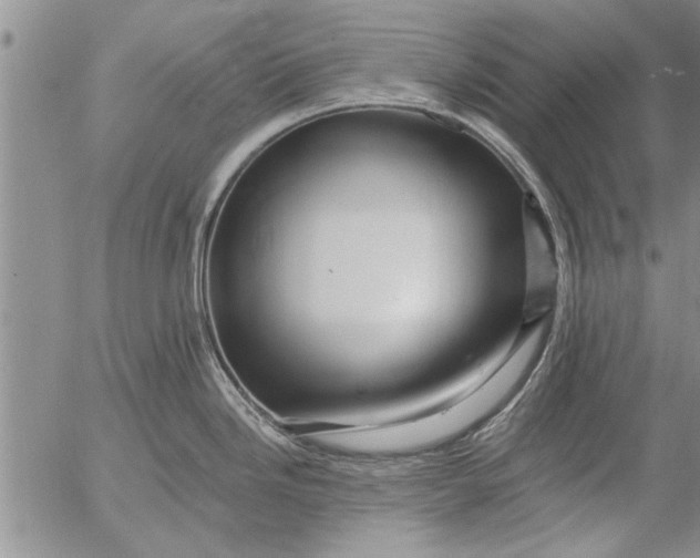 X0000053101246200508012050