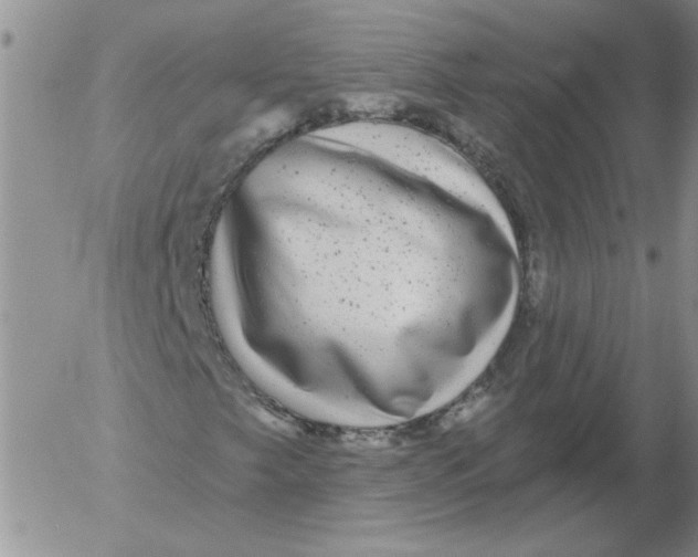 X0000053101249200508012050