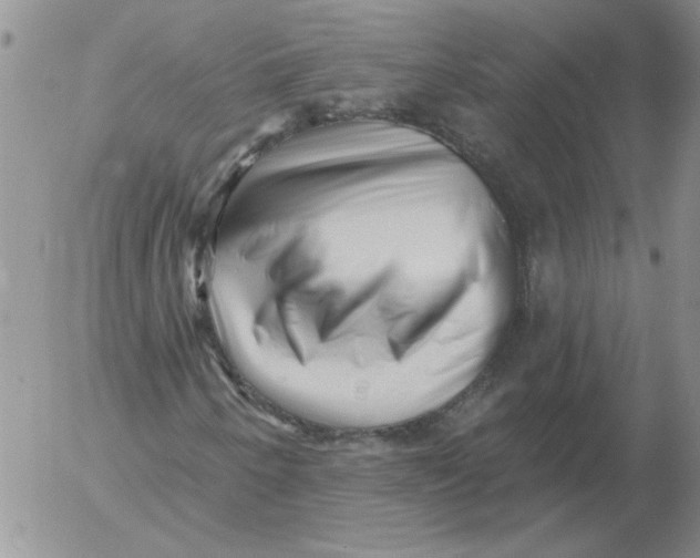 X0000053101250200508012050