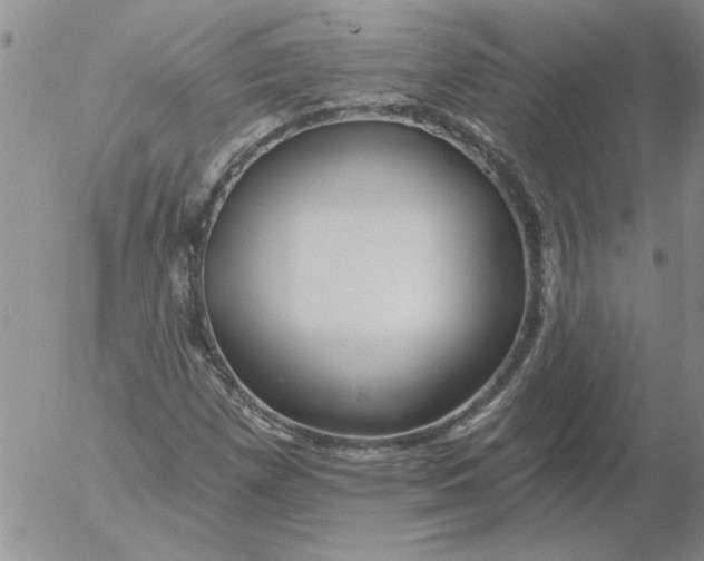 X0000053101257200508012049