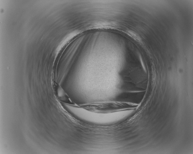 X0000053101277200508012049