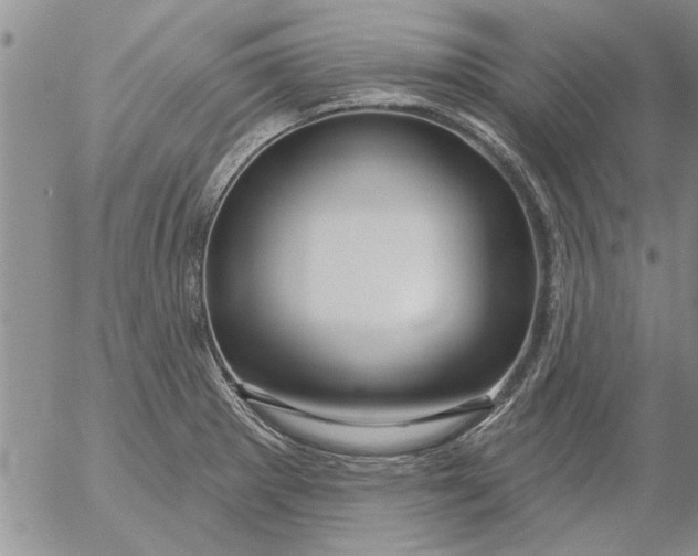 X0000053101281200508012049