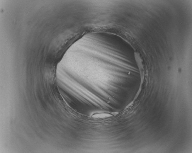 X0000053101300200508012048