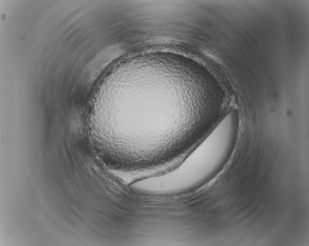 X0000053101305200508012048