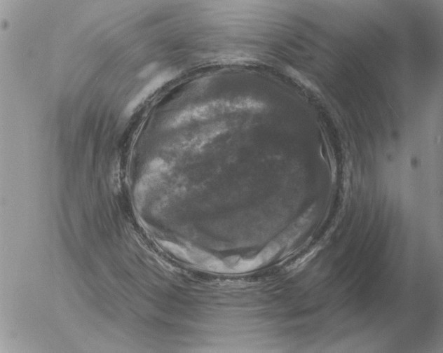 X0000053101306200508012048