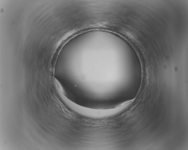 X0000053101308200508012048