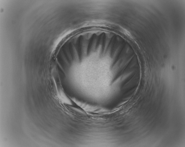 X0000053101312200508012048