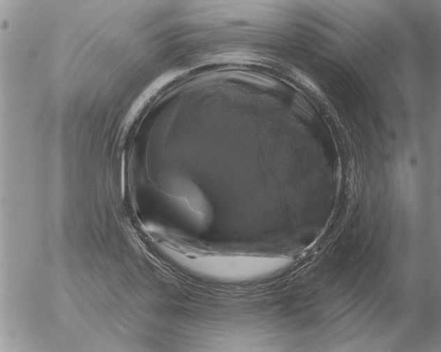 X0000053101323200508012048