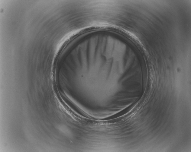 X0000053101327200508012048
