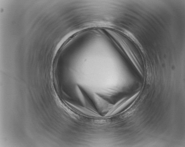 X0000053101339200508012049