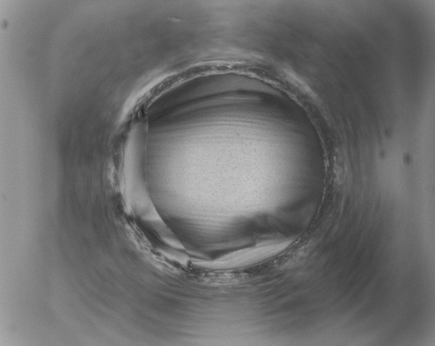 X0000053101352200508012048