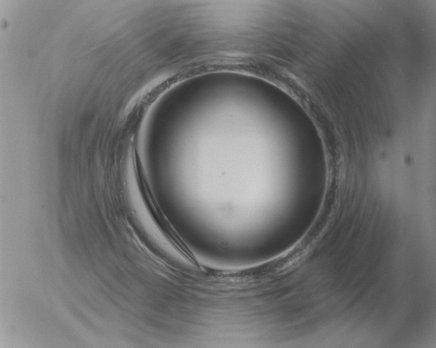 X0000053101402200508012046