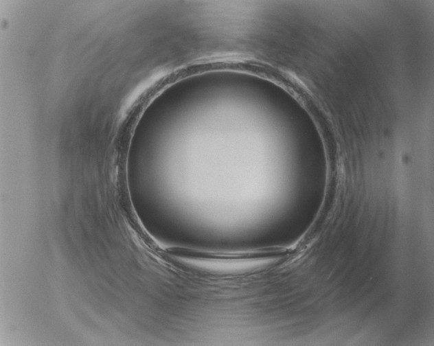 X0000053101406200508012046