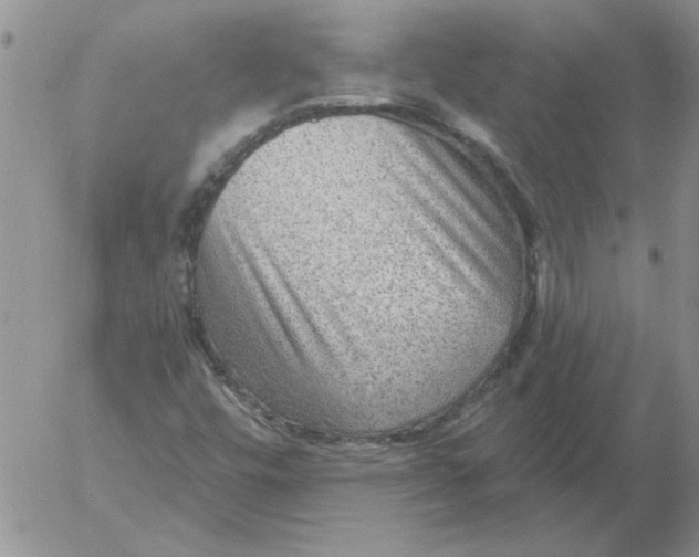 X0000053101448200508012046