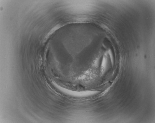 X0000053101449200508012046