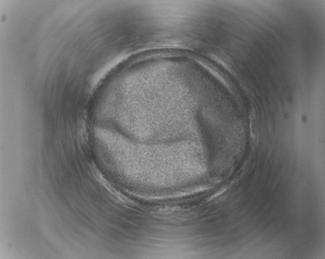 X0000053101452200508012046