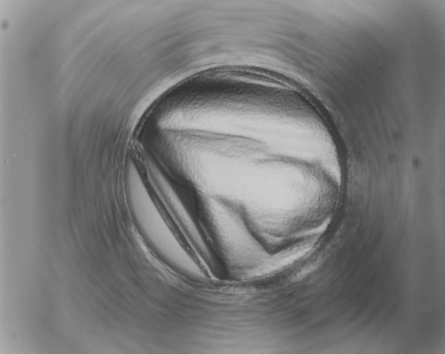 X0000053101513200508012045