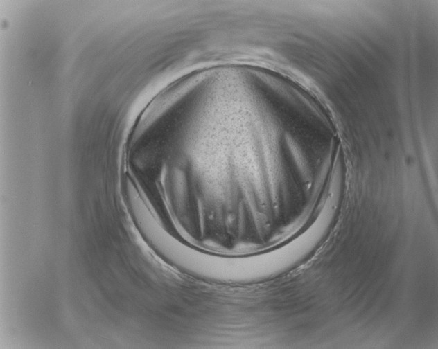 X0000053101520200508012045