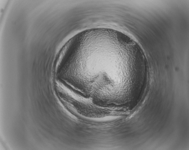 X0000053101525200508012045