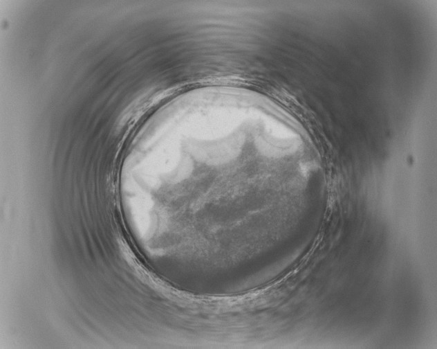 X0000053100002200508081348