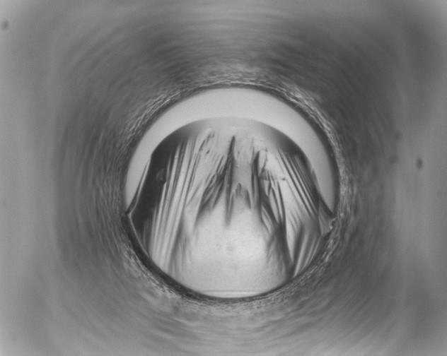 X0000053100017200508081348