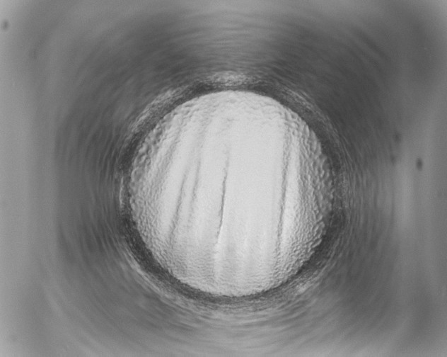 X0000053100024200508081348
