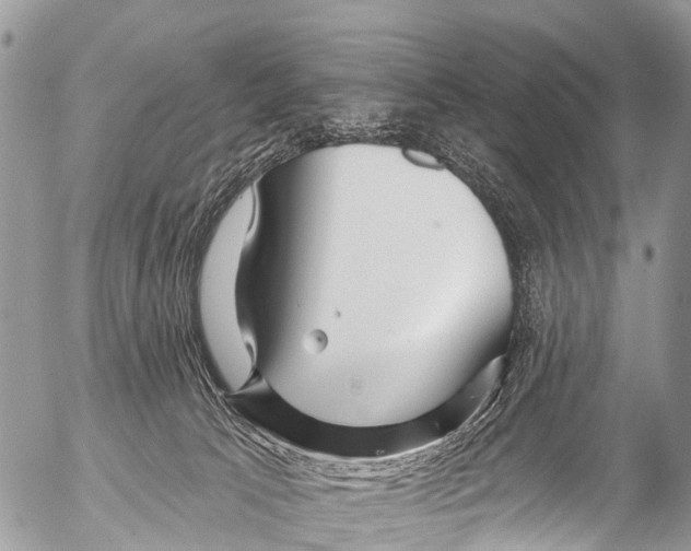 X0000053100033200508081348