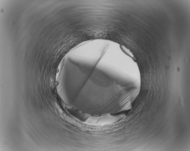 X0000053100039200508081348