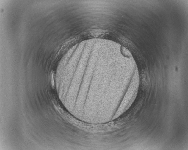 X0000053100042200508081347