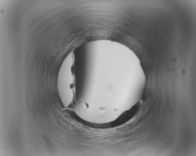 X0000053100045200508081347