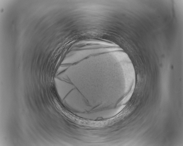 X0000053100048200508081347
