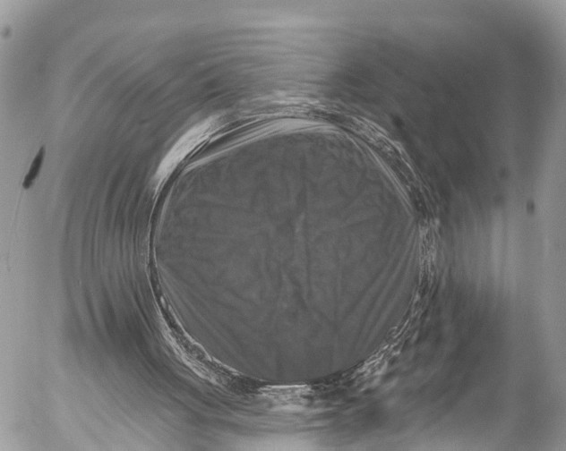 X0000053100051200508081347