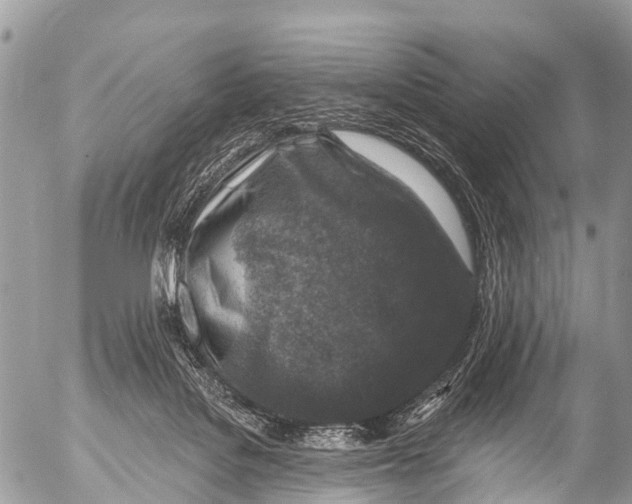 X0000053100076200508081347