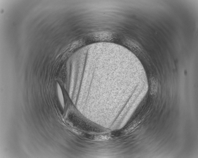 X0000053100077200508081347