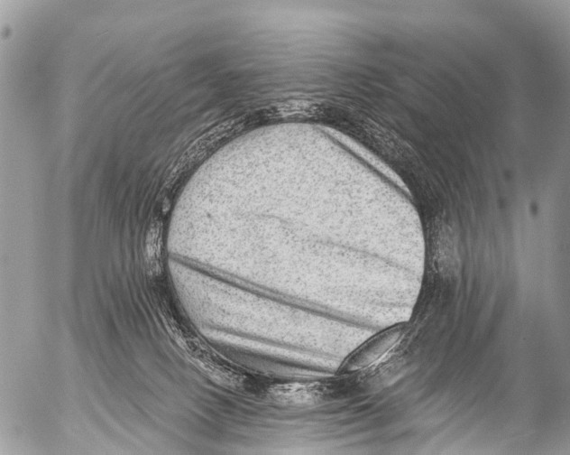 X0000053100082200508081347