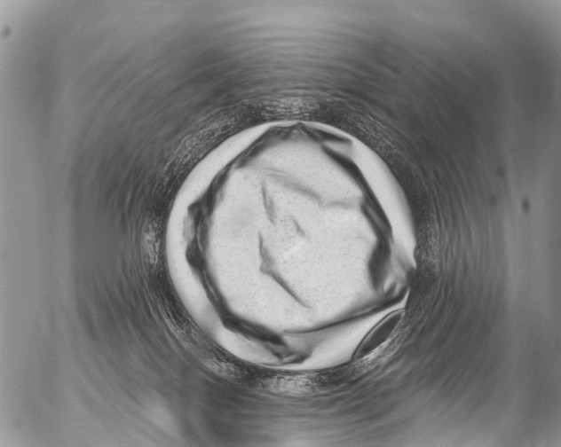 X0000053100086200508081347