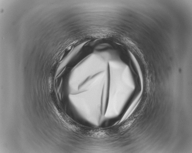 X0000053100113200508081346