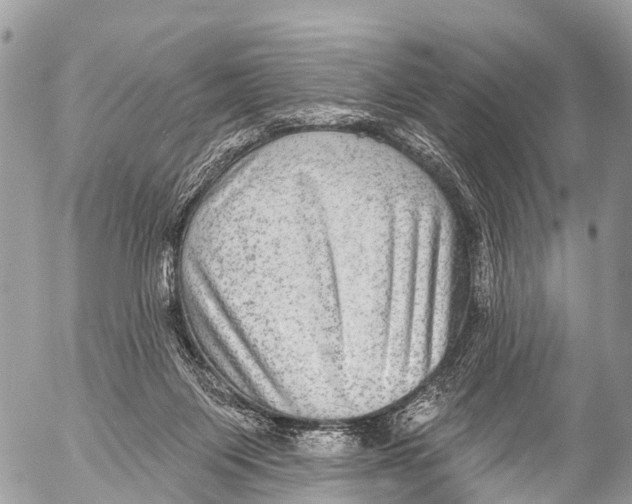 X0000053100119200508081346
